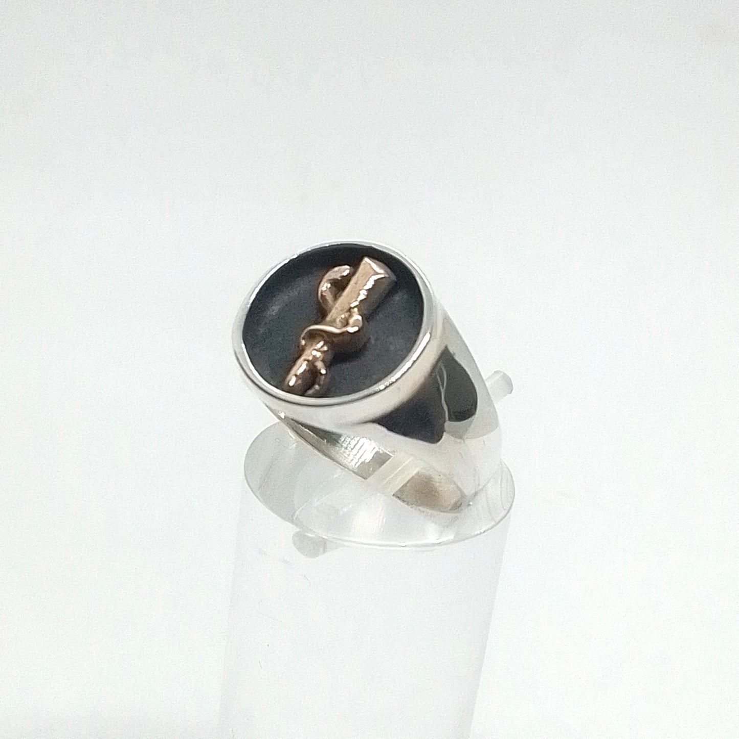 Anillo en Plata con símbolo Medico en Oro