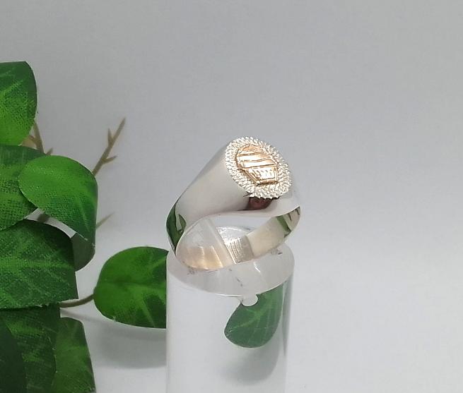 Anillo Profesional Repostería